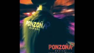 Ponzoña Musical Live From Mexico [upl. by Lytsyrk585]