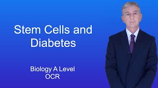 A Level Biology Revision Year 13 quotStem Cells and Diabetesquot [upl. by Mitch59]