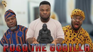 AFRICAN HOME POCO THE GORILLA [upl. by Ahseen]