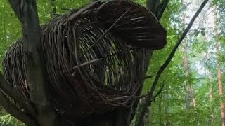 SURVIVAL SHELTER WARM AND COMFORTABLE  BUSHCRAFT CAMPING [upl. by Ruby]