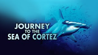 Journey to the Sea of Cortez HD [upl. by Airol]