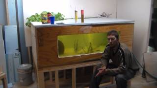 300 Gallon Plywood Tank  Build and Advice  Cheapest [upl. by Yedoc187]