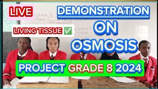 How To Demonstrate Osmosis In Living TissuesScience Grade 8 Project 2024 [upl. by Alfie186]