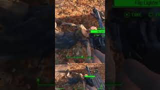 Pest Control fallout fallout4 gaming [upl. by Jonas]