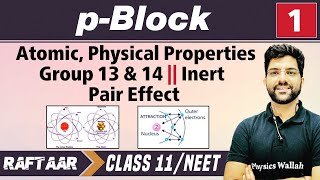 pBlock 01  Atomic Physical Properties Group 13 amp 14  Inert Pair Effect  Class 11NEET [upl. by Ennasil]