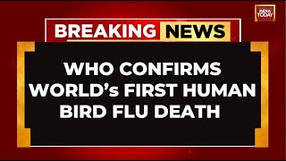 Breaking News WHO Confirms Worlds First Human Bird Flu Death In Mexico [upl. by Bhatt]