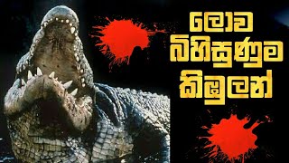 7 dangerous crocodiles in the world Sinhala  Abirahas Lokaya  ලොව භයානකම කිඹුල්ලු [upl. by Nashner]