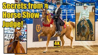 Secrets from a Horse Show Judge  What Does a Judge Look for [upl. by Heloise]