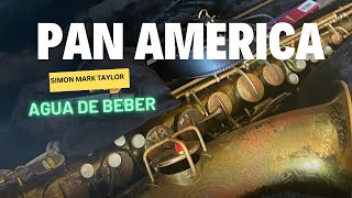 Pan America Tenor Sax  Agua de Beber [upl. by Aihn843]