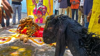 Pothuraju Saman Pooja  Pothuraju Aayuda puja [upl. by Auburta]