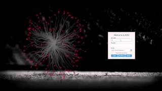 SDDM  Video Background  Qt Quick2 [upl. by Rengia]