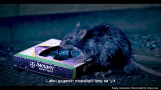 Racumin Rodent Block Video Basang Basa [upl. by Ardnnek]