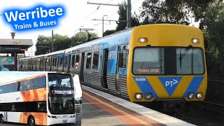 Trains amp Buses at Werribee  Melbourne Transport [upl. by Sahc]