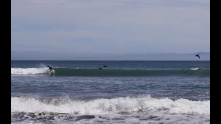 Bolinas Dreams 622022 Surfing [upl. by Schargel]