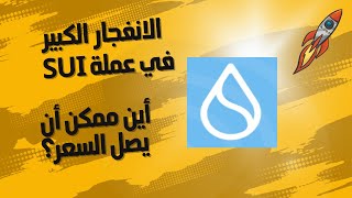 انفجار كبير في عملة سوي  أين ممكن ان يصل السعر  الأهداف البيعية لعملة sui [upl. by Atilal]