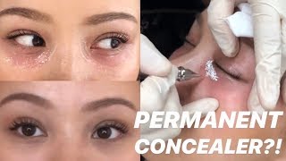 TRYING PERMANENT CONCEALER [upl. by Adehsor]