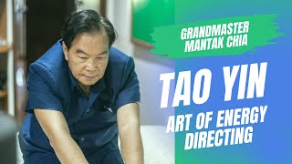 ☯️ What is Tao Yin Taoist art of energy directing with Grandmaster Mantak Chia🙏🏻 [upl. by Etnwahs816]