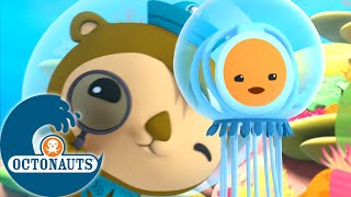 Octonauts  La Méduse Immortelle et lInvasion dOursins  Dessins animés pour enfants [upl. by Wandis43]