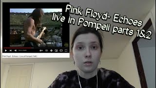 Pink Floyd  Echoes  Live at Pompeii parts 1 amp 2 REACTIONREVIEW [upl. by Welcy566]