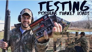 Testing Popular Turkey Loads from 2050 Yards S8 73 [upl. by Montford808]