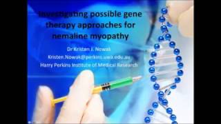 Investigating Possible Gene Therapy Approaches for Nemaline Myopathy [upl. by Arymas]