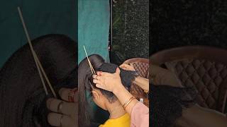 Ball backcombing process how to make hairstyle base shortvideo hair shortsfeed shorts [upl. by Schaab]