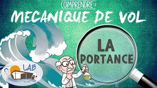 QUEST CE QUE LA PORTANCE   Mécanique de vol Kitesurf  LAB TV ⭐ [upl. by Ahtamat33]