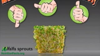 Dont Eat Raw Alfalfa Sprouts [upl. by Asirralc]