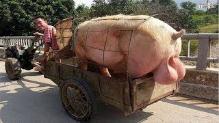 WOW Amazing Biggest Pig in The World  New Agriculture Technologies [upl. by Marnia314]