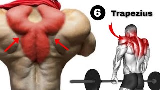 Best Trapezius Muscle Pain Relief Workout [upl. by Groeg]