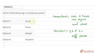 Which of the following is not monoecious plant [upl. by Effie844]