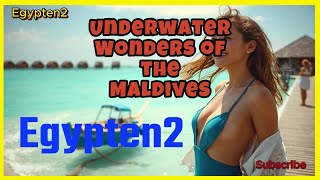 Underwater Wonders of the Maldives [upl. by Macey]