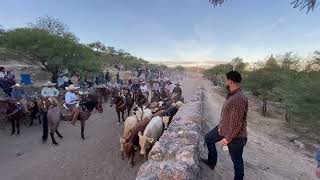 Coleadera en la villita de arriba Jalpa Zacatecas [upl. by Airehtfele]