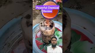 Powerful Chemical Review  Strong Cleaning amp Industrial Solution shorts Viralvideo [upl. by Luapnhoj848]