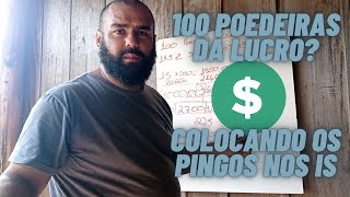 COMO GANHAR DINHEIRO COM 100 GALINHAS POEDEIRAS VEJA E COMPROVE COMO FAZER [upl. by Smail230]