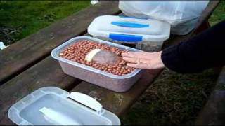 What to feed wild birds in winter amp what feeders to use [upl. by Ycrep]