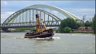 ⛴ NOORDZEE Stoomsleepboot van 1922 uit Medemblik 02509202 23 05 2022 [upl. by Bayard]