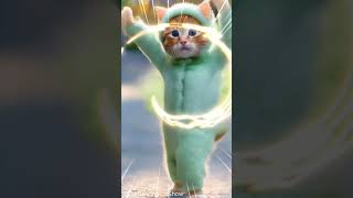 Pet Dance Cat Dance AdorableAnimals petdance [upl. by Rodi]