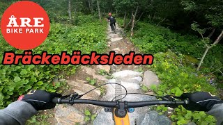 Åre Bike Park Bräckebäcksleden [upl. by Nnayrrehs336]