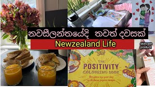 මල් පිරුනු ලස්සන දවසක්🌼🌸🌺my life in pregnant periodNewzealand life [upl. by Ahsied]