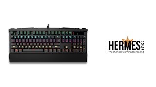 Gamdias GKB3000 HERMES 7 Wired Mechanical Gaming Keyboard overview  Startech [upl. by Airamalegna]