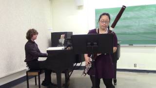 Vivaldi Bassoon Concerto in A minor RV 498  First movement [upl. by Kirstin]