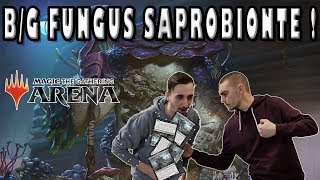 DECK GB SAPROBIONTE  TORGAAR COMBO [upl. by Eluk]