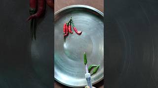 Satisfying chilli treatment 😅 shortsshortvideo [upl. by Ahsatam]