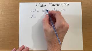 Fischer Esterification [upl. by Latvina186]