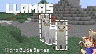 Llamas  Minecraft Micro Guide [upl. by Decamp381]