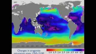 Acidic Oceans Why Should We Care  Perspectives on Ocean Science [upl. by Nnylhsa743]