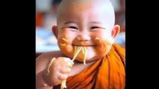 little so cute baby monk🥰😜 Baby monk❤️🤣viralvideoslittlecutemonkviralmybabyfirstvlogvideo [upl. by Er344]