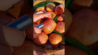 Enjoy Beautiful Nature Life 😍🥰🍎🍊🍇🍓 Part 119 shorts fruitworld nature 💥 rarefruits 20🥰🥰 [upl. by Parthen]