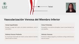 Anatomia del Miembro Inferior [upl. by Ai]